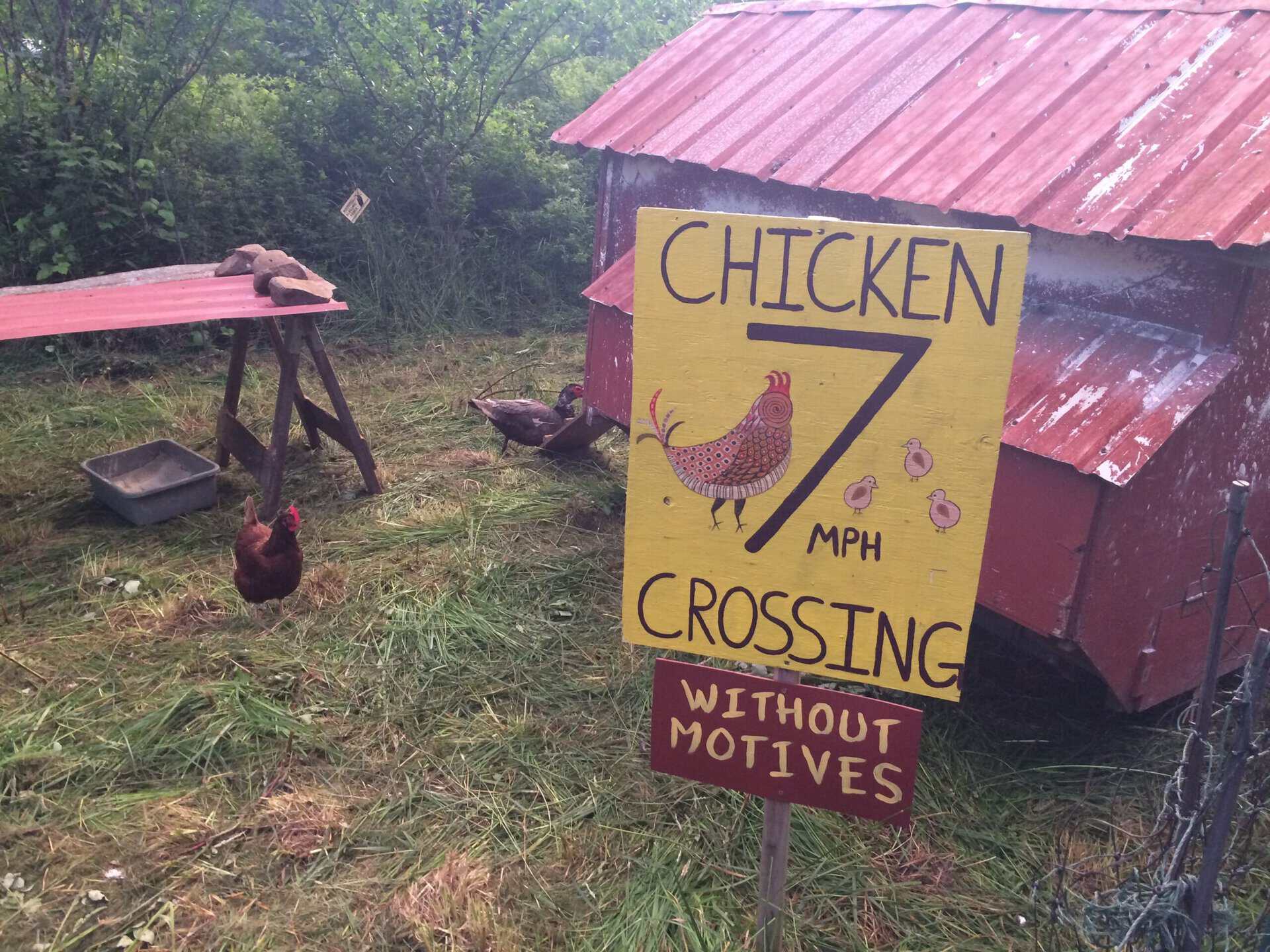 Chickens near a farm sign for chicken crossing at 7 MPH.