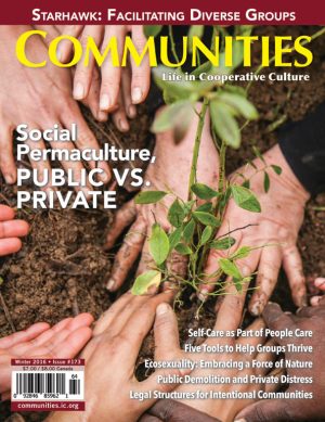 Hands planting a young seedling in soil for community growth.