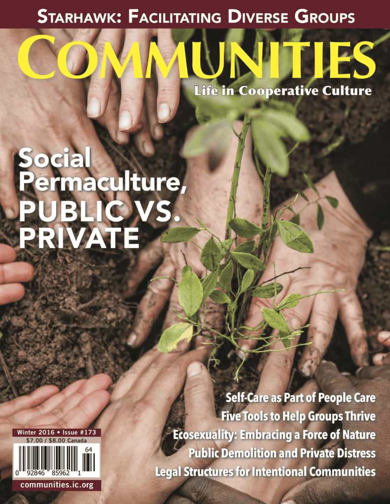 Hands planting a young seedling in soil for community sustainability.