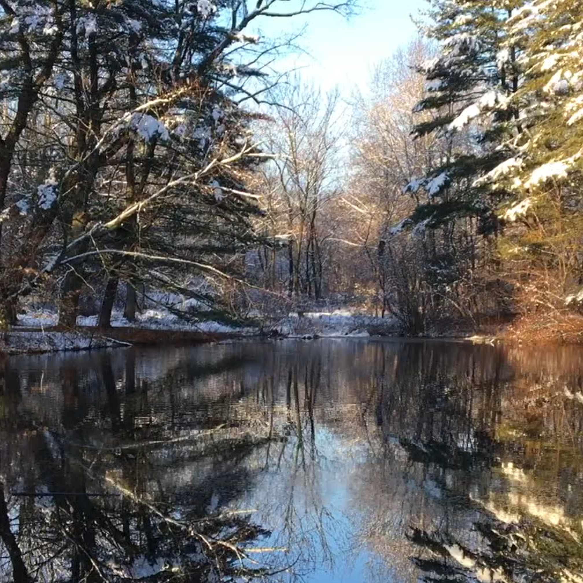 Serene winter landscape with snow-covered trees and a calm river reflection.