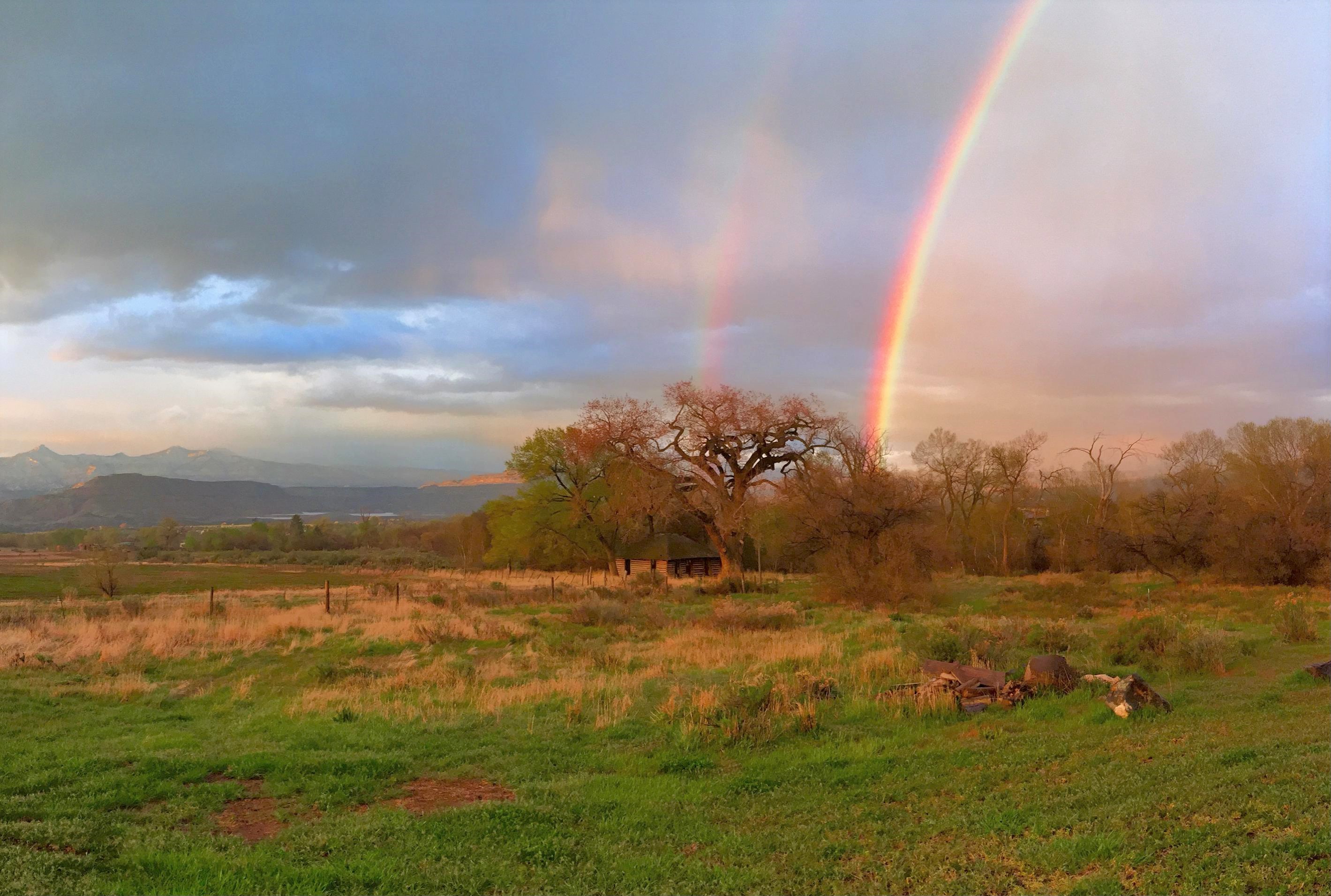Scenic landscape with rainbow over trees and open field at sunset.