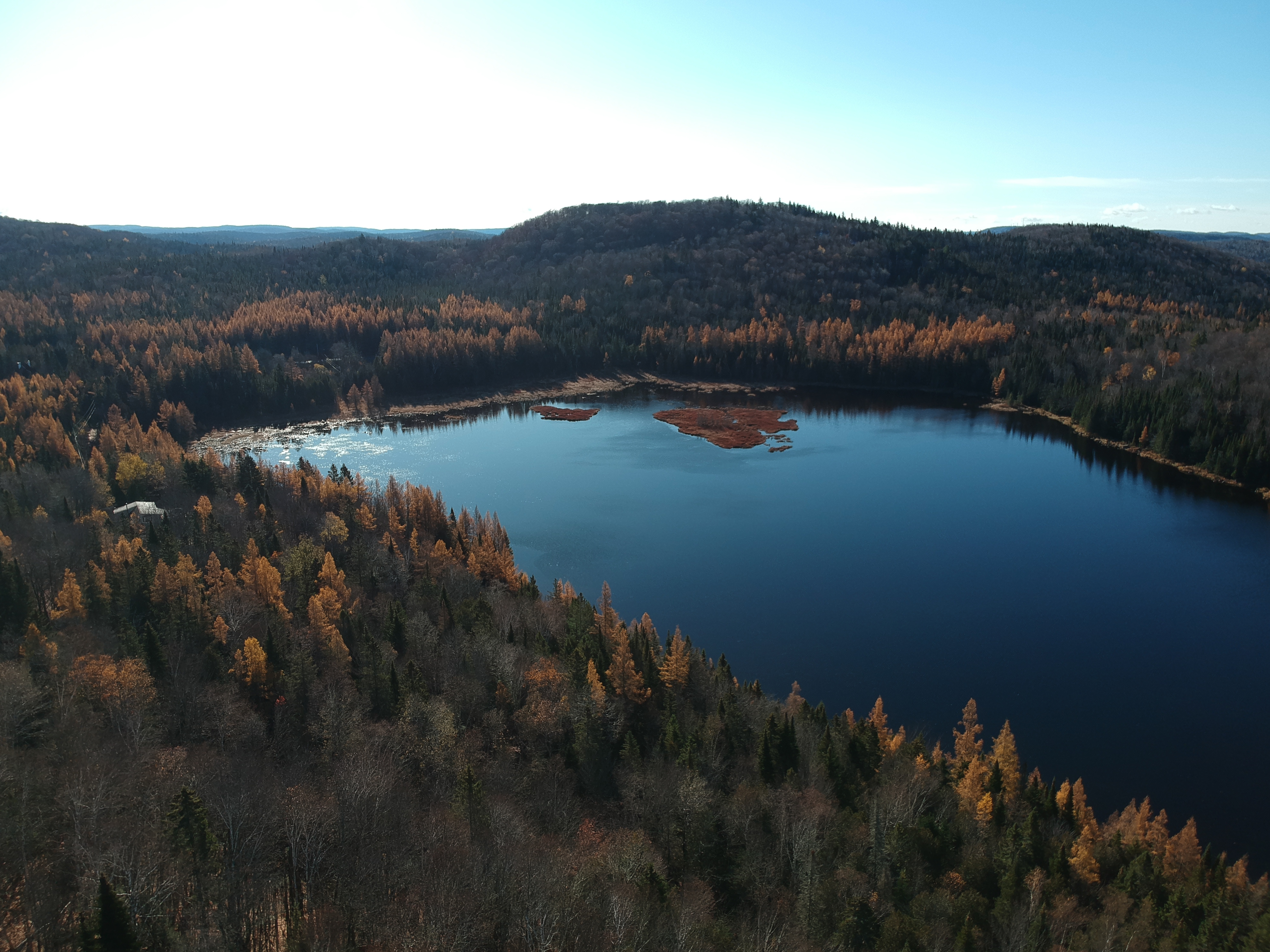Aerial view of a lake surrounded by dense forest and rolling hills under a clear sky.