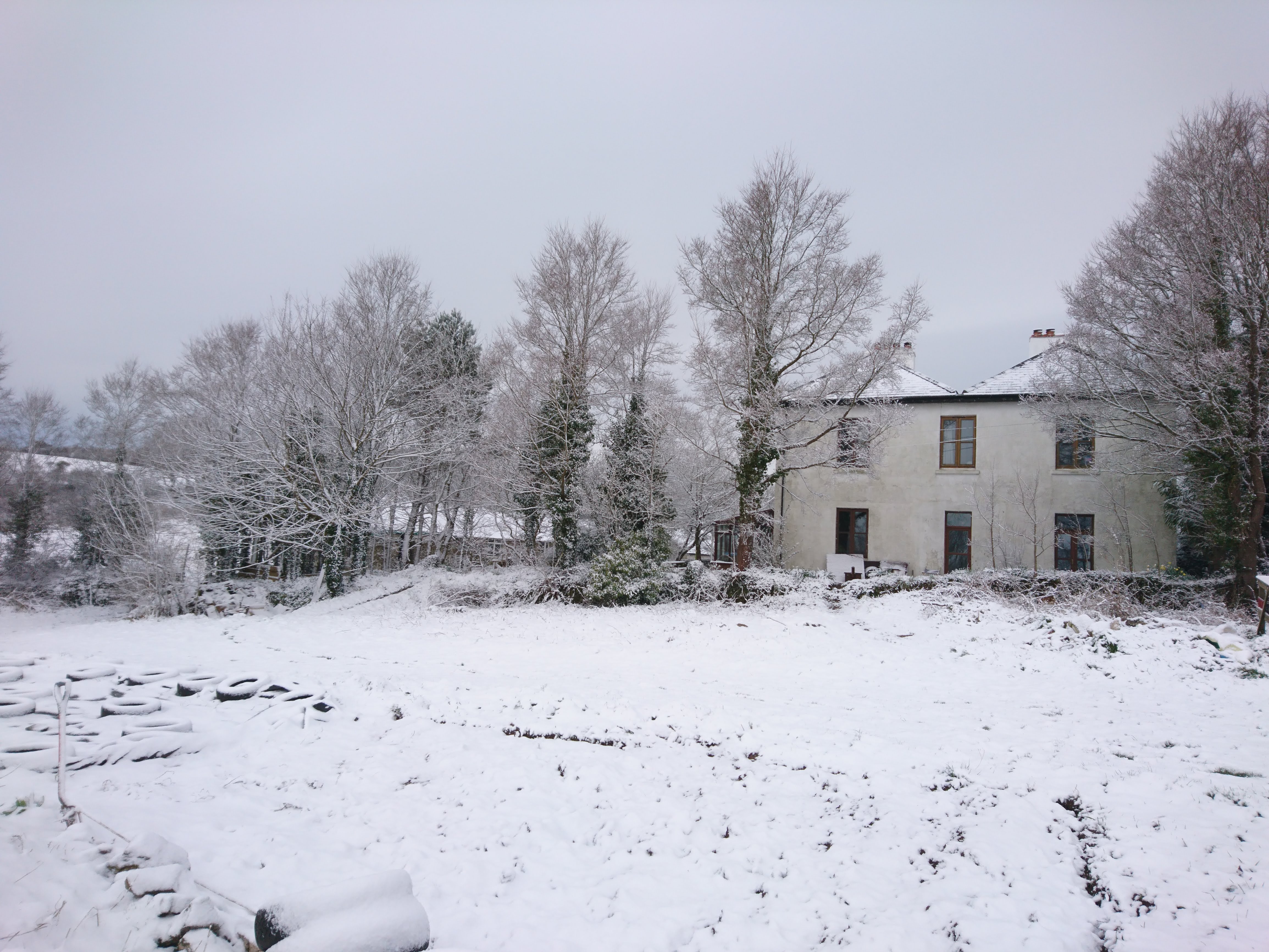 Snow-covered house and trees at Keveral Farm in winter.