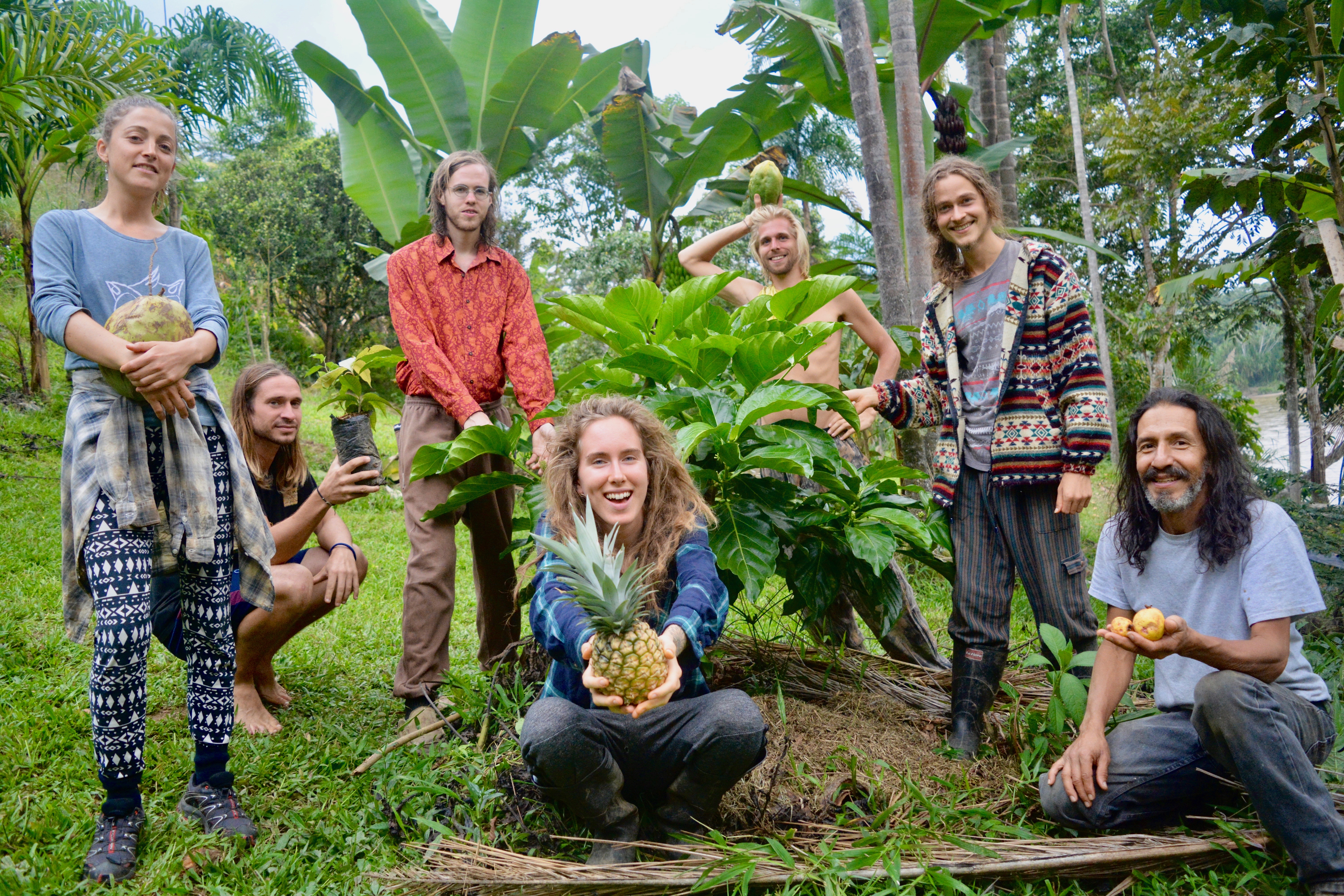 Group of people harvesting pineapples in a lush community garden.