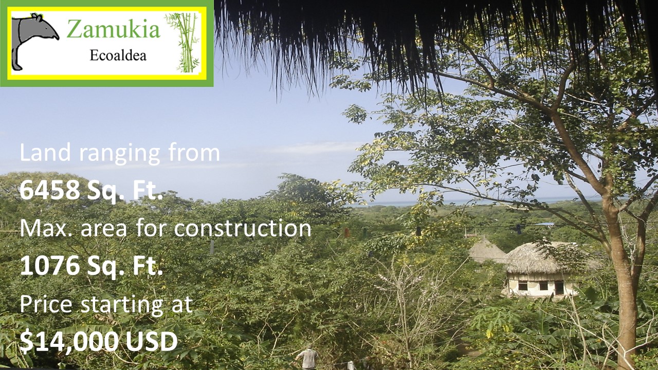 Land for sale at Zamukia Ecovillage with scenic natural landscape.