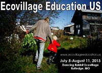 Ecovillage community with sustainable homes and lush greenery in the background.
