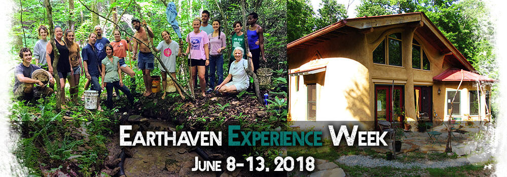 Group of people at Earthaven Community during Earthaven Experience Week 2018.