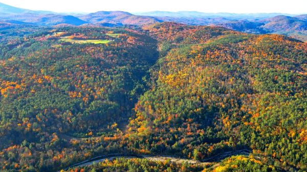 Aerial view of colorful autumn forested hills and valleys.