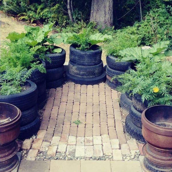 Garden pathway with repurposed tires as plant containers in a community garden.