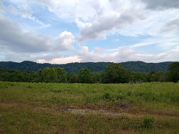 Scenic landscape with green fields, trees, and distant hills under a partly cloudy sky.
