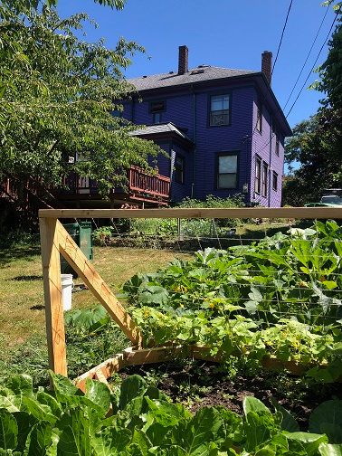Colorful purple house with garden and green plants in front.