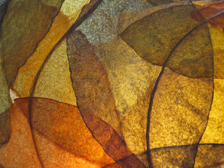 Autumn leaves in warm shades of yellow, orange, and brown.