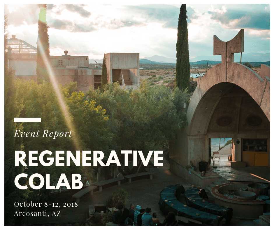 Event report cover for regenerative collaborative event in Arcosanti, AZ, 2018.