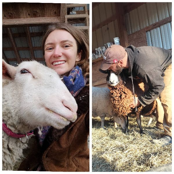 People with farm animals at the Foundation for Intentional Community event.