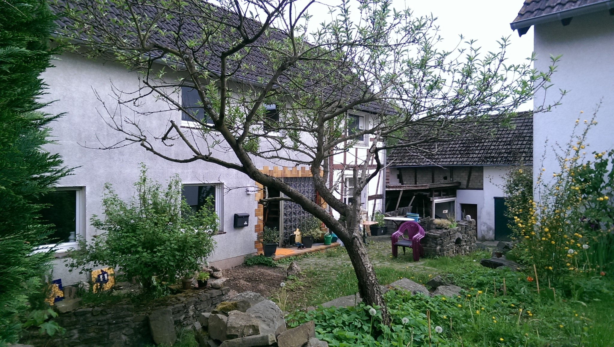Cozy rural house with garden and blossoming trees in spring.