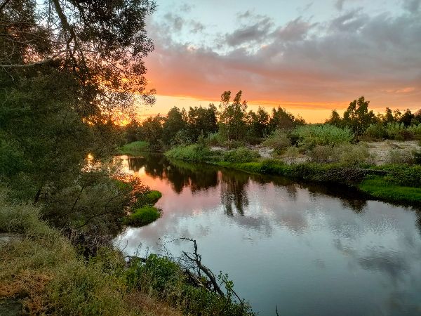 Serene river landscape at sunset with lush greenery and colorful sky.