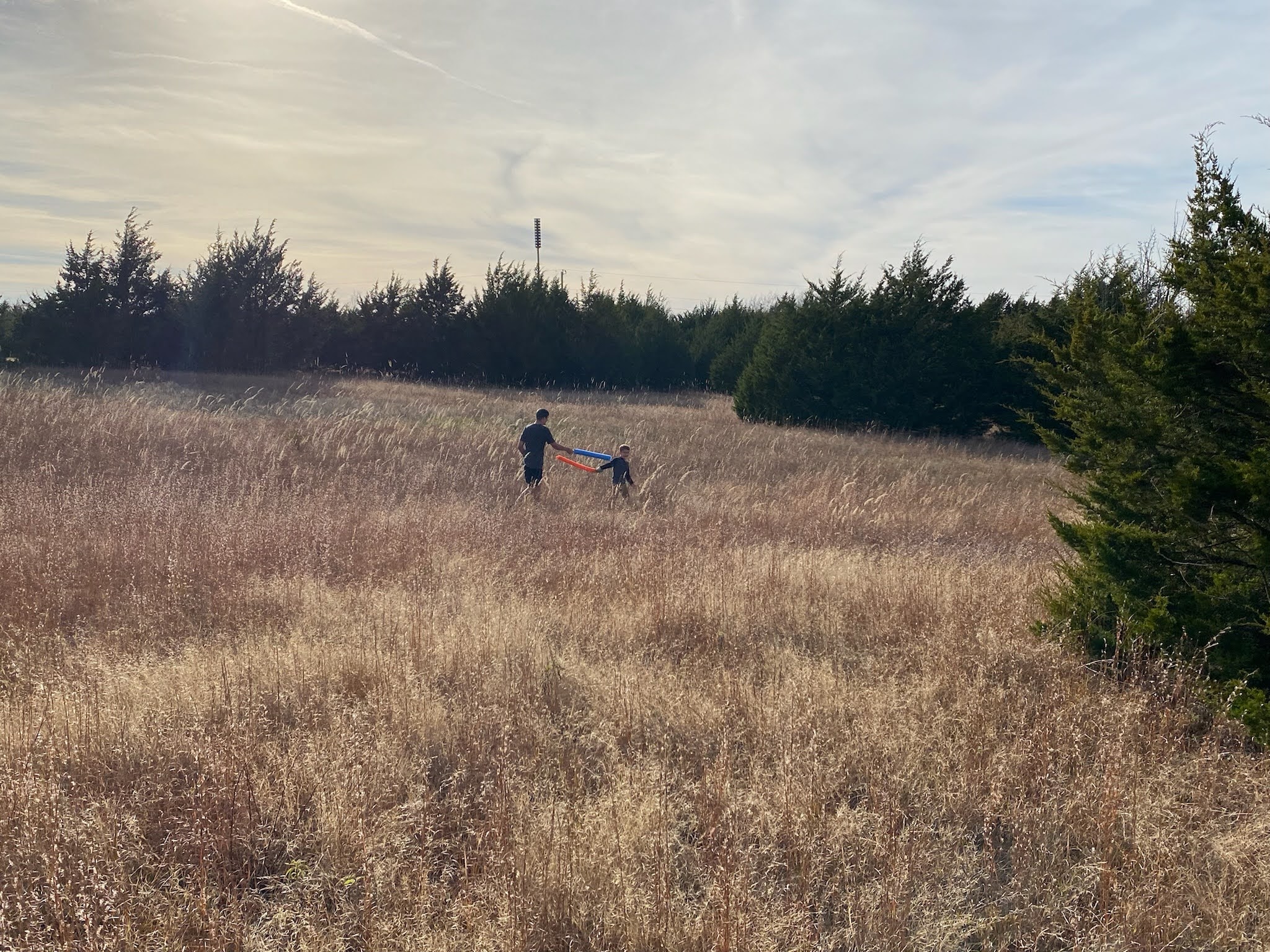 Two people holding hands in a grassy field with trees in the background.