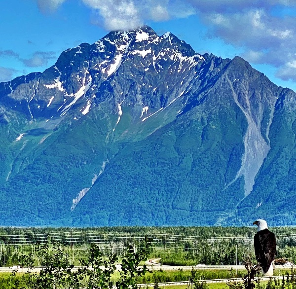 Majestic mountain landscape with snow-capped peaks and lush green slopes.