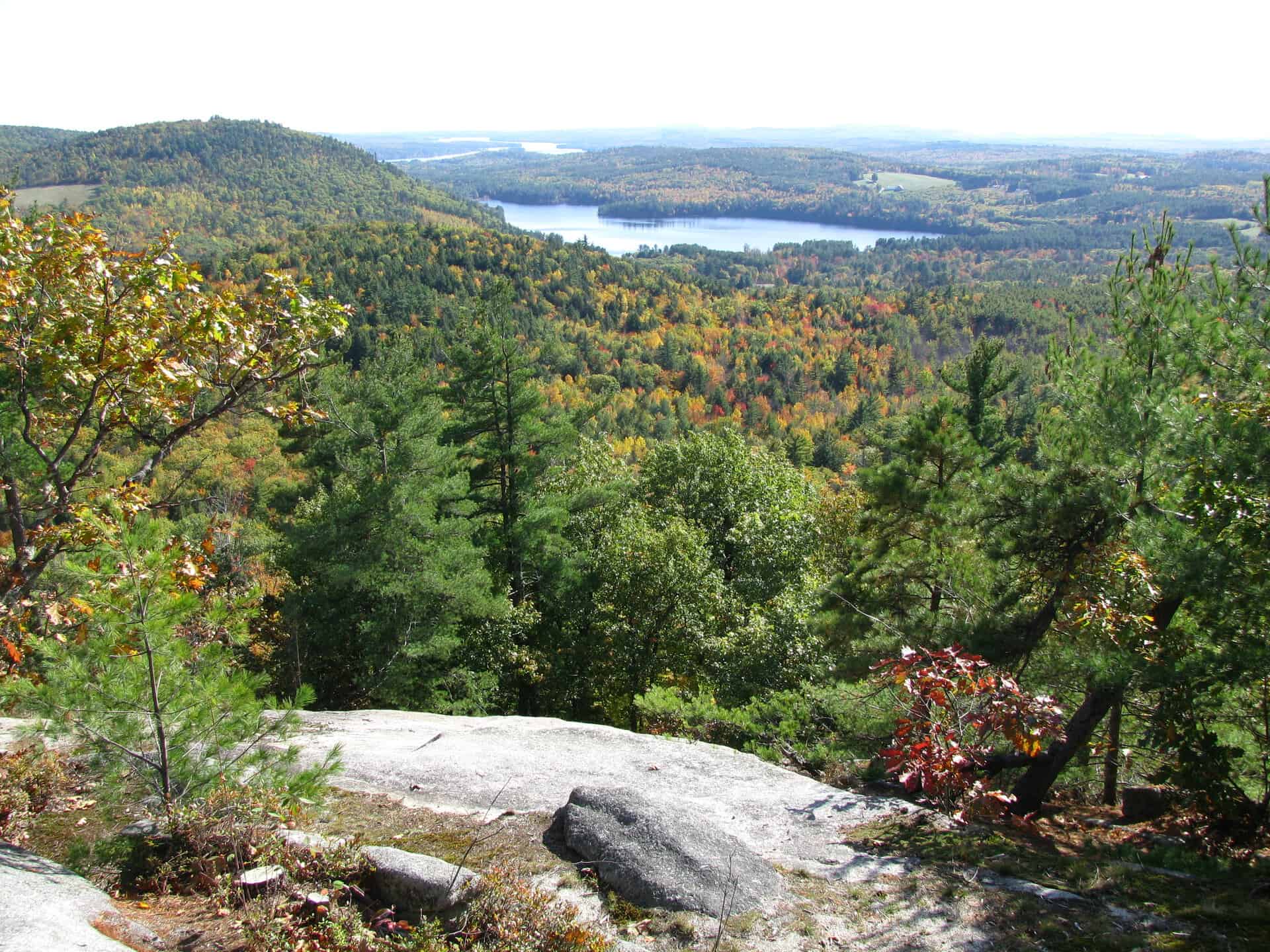 Scenic view of forested landscape with a lake in the distance during fall.