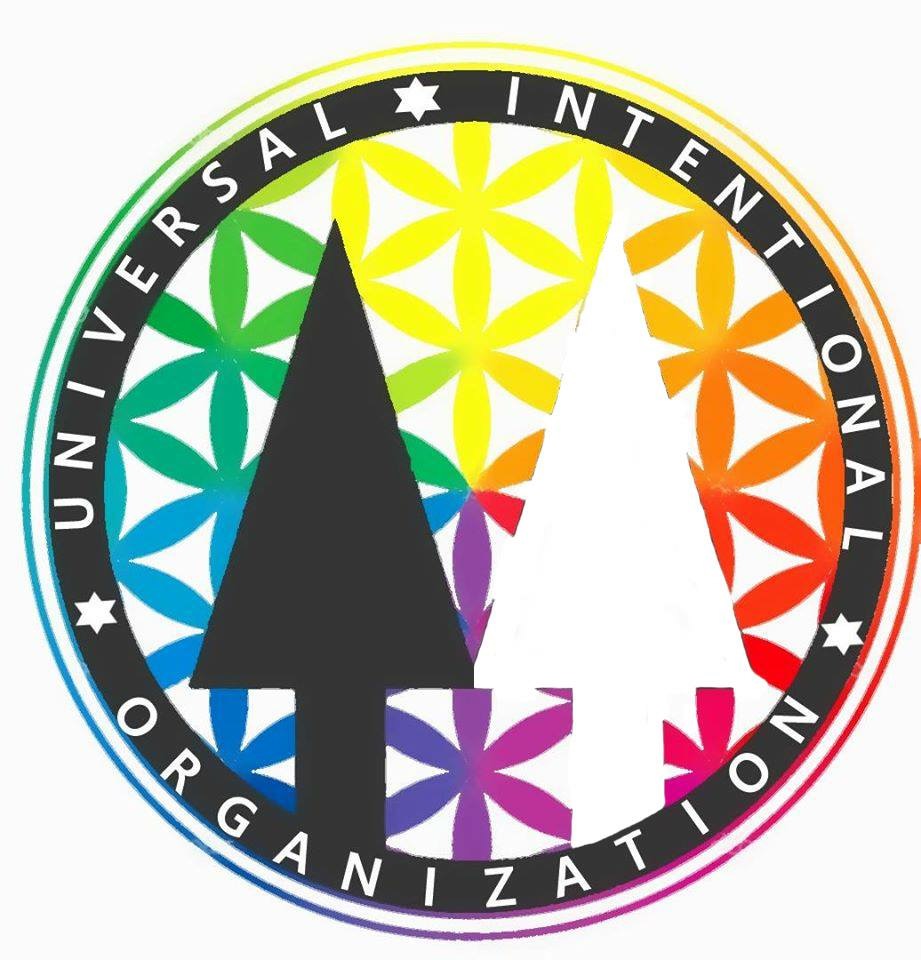 Universal Intentional Organization logo with rainbow-colored geometric pattern.