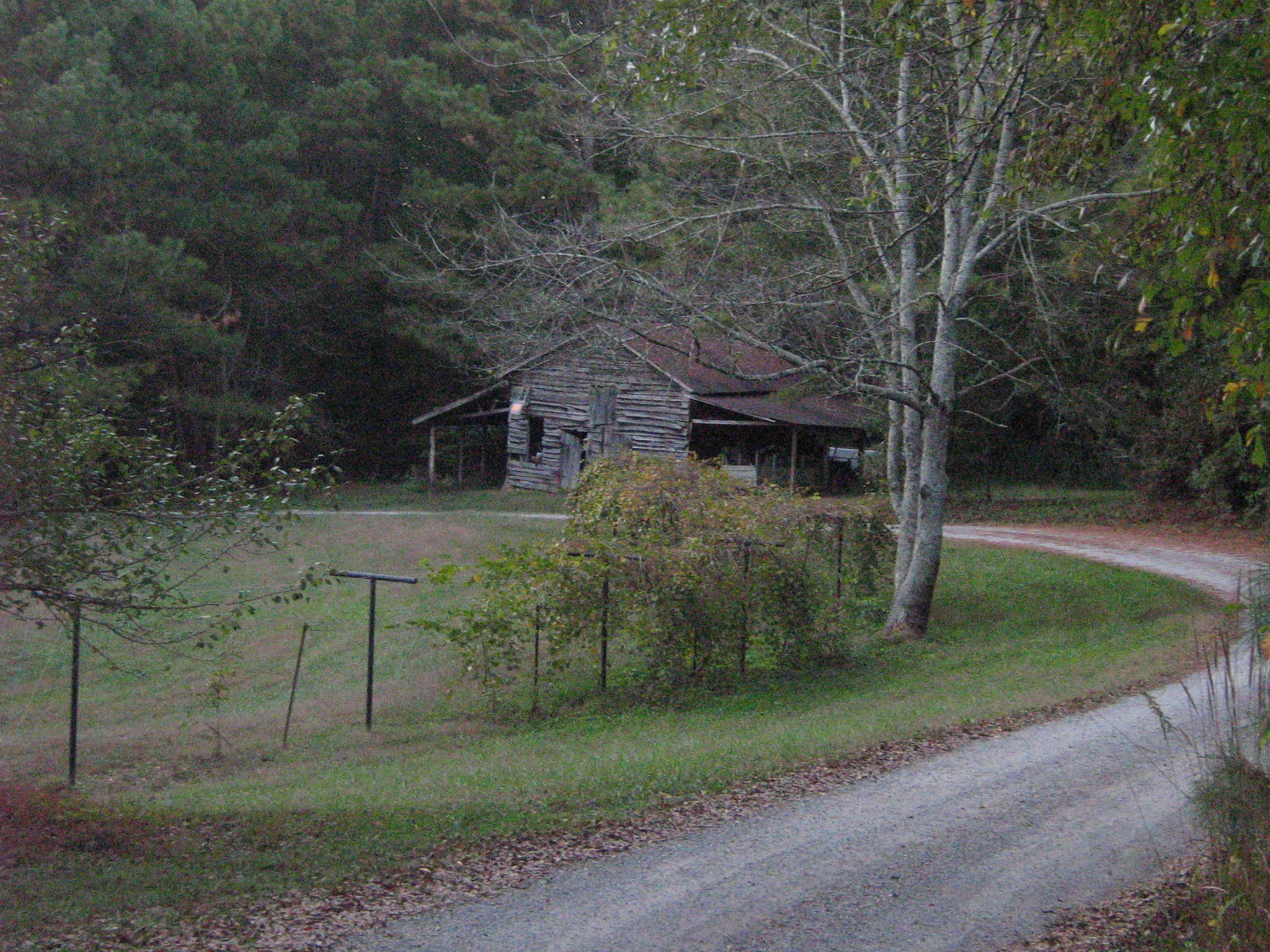 Rustic wooden cabin in a wooded rural setting with a gravel path.
