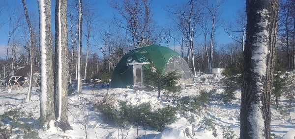 Green geodesic dome in snowy forest landscape for sustainable living.