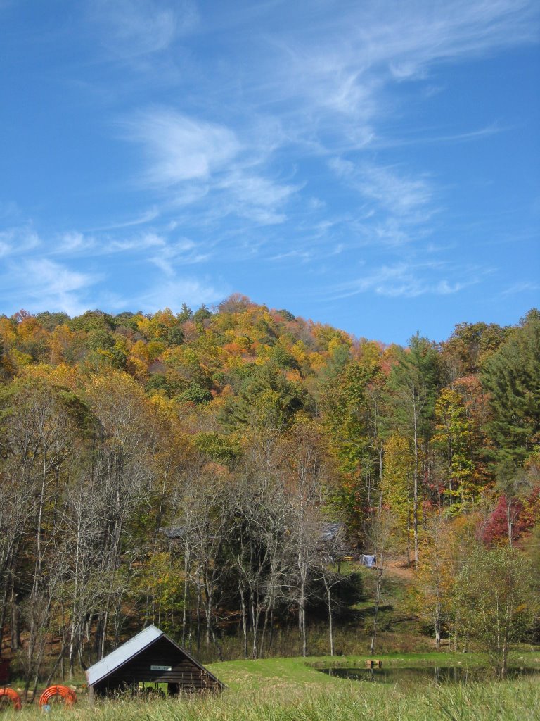 Scenic view of colorful autumn trees on a hillside under a blue sky with wispy clouds.
