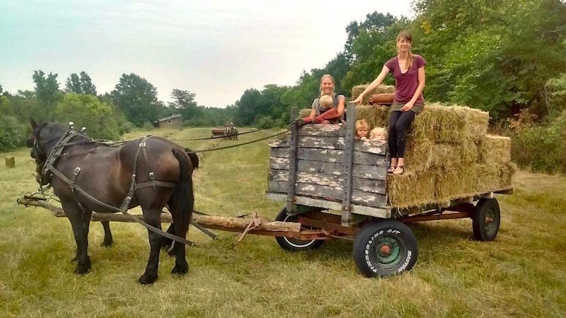 People riding on a hay-filled wagon pulled by a horse in a rural setting.