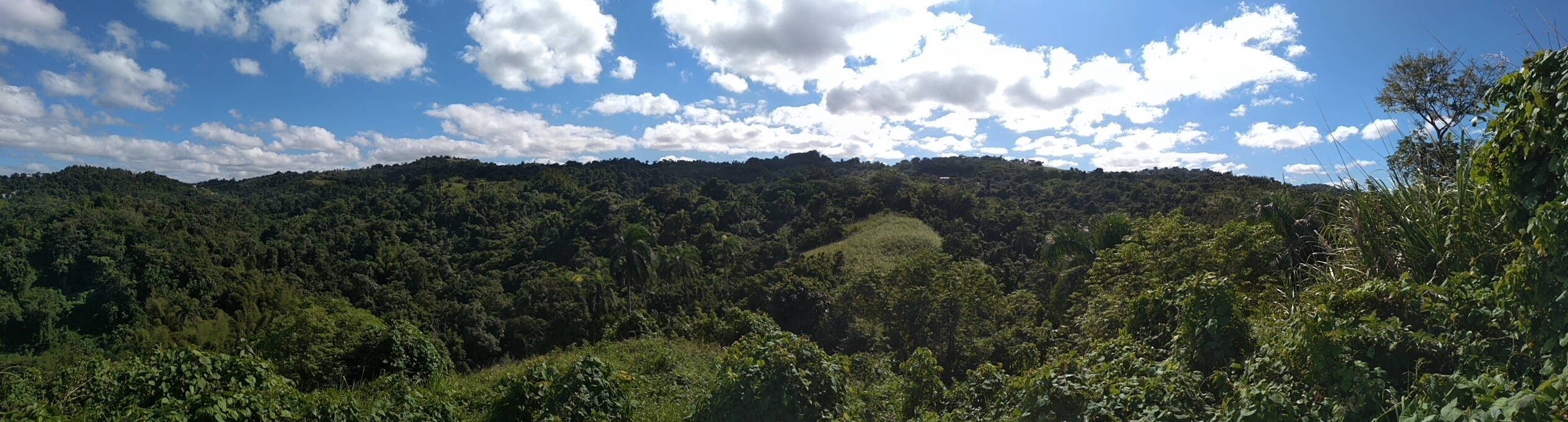 Scenic view of lush green forest and rolling hills under a partly cloudy sky.
