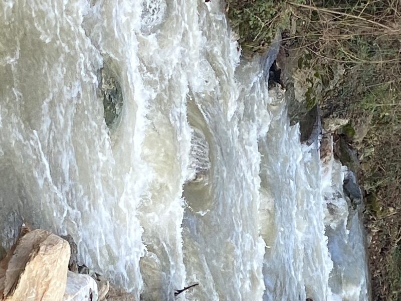 Flowing river with white water and rocks in a natural setting.