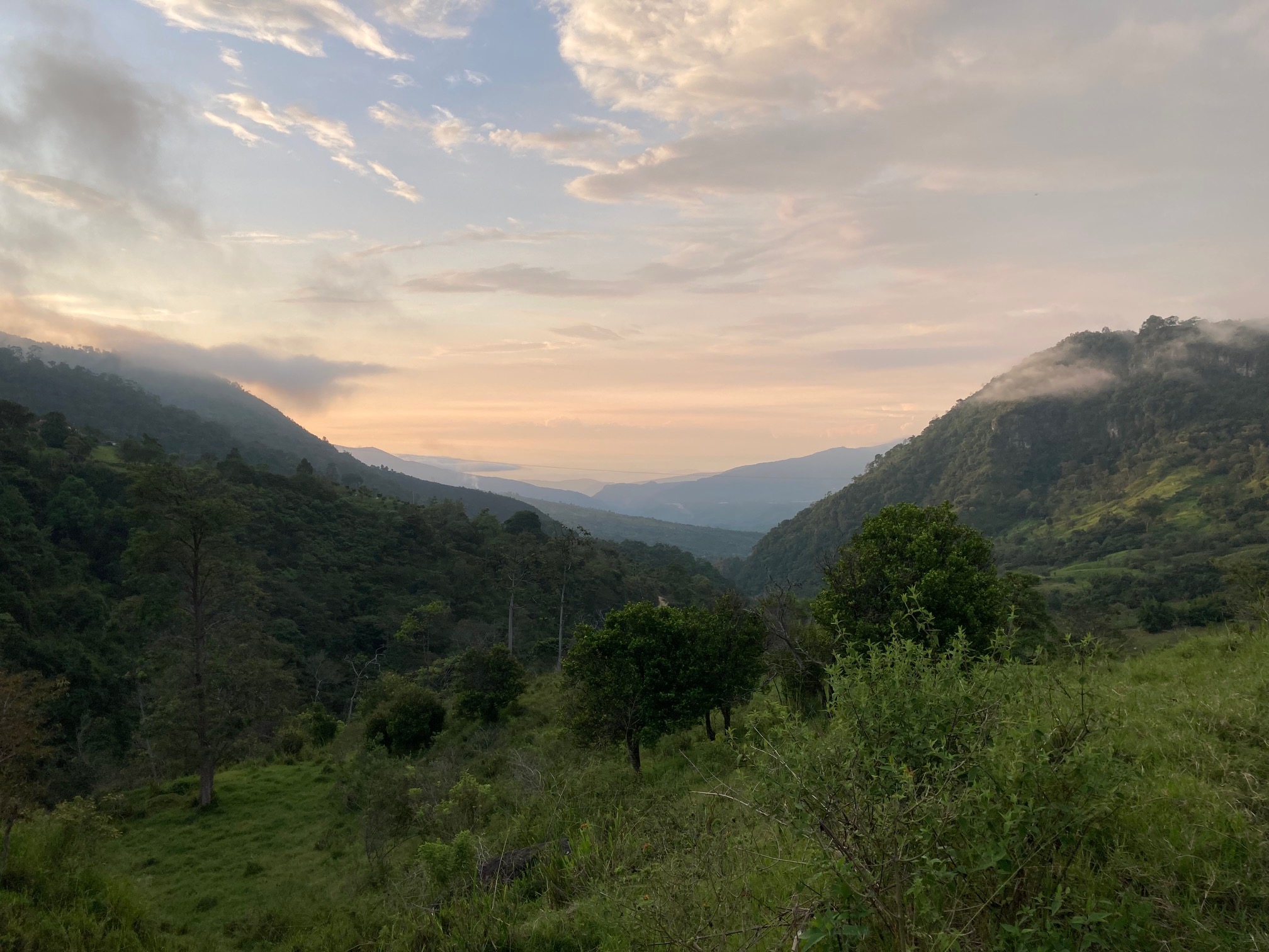 Scenic view of lush green mountains and valley at sunset.