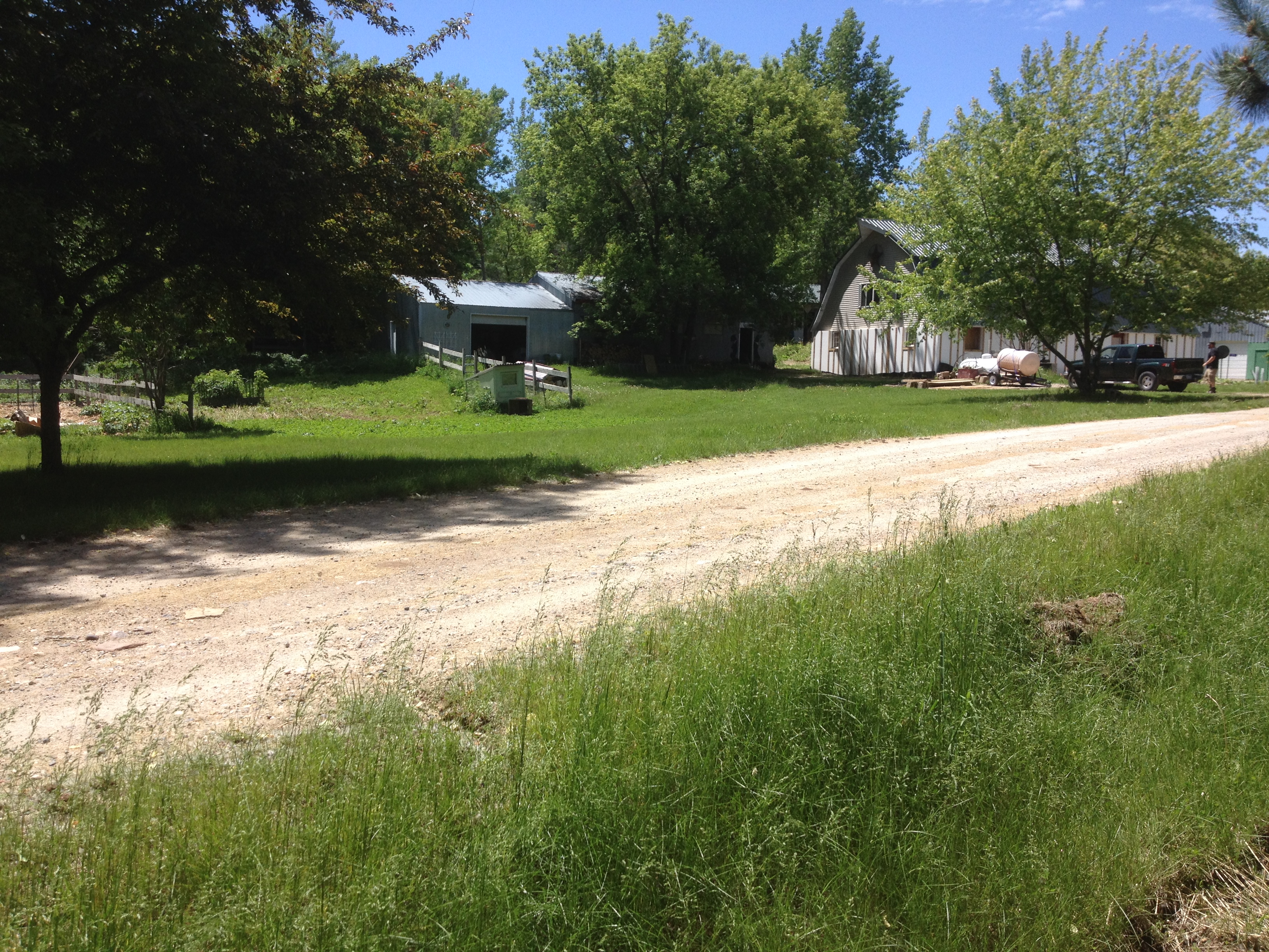 Rural property with trees, a dirt road, and farm buildings under a blue sky.