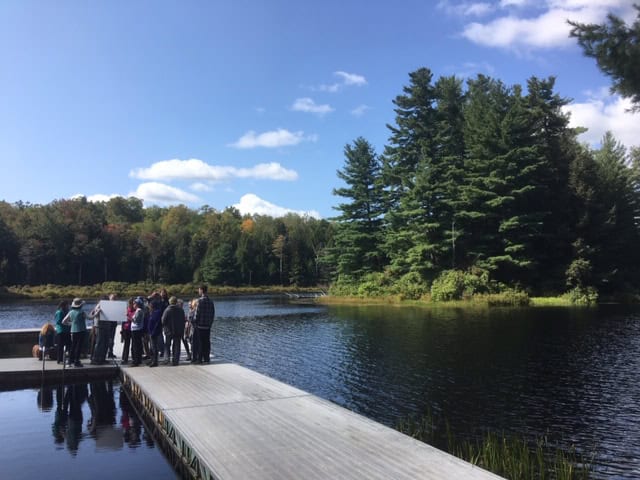 Group of people on a dock by a lake with trees and blue sky in the background.