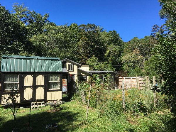 Garden with shed and lush trees under a clear blue sky.