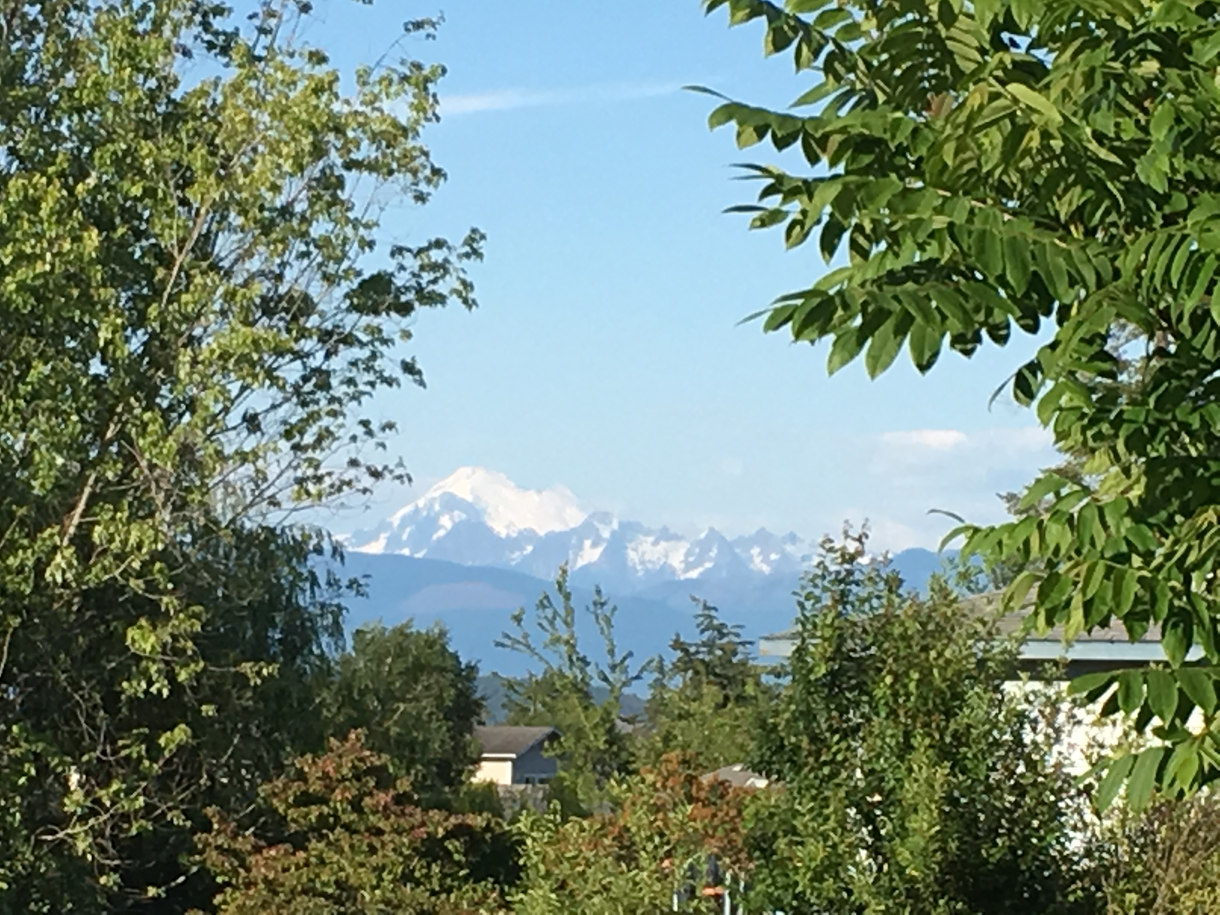 Scenic view of mountains and greenery at Skagit Commons community.