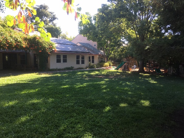 Lush green backyard with a white house and playground equipment.