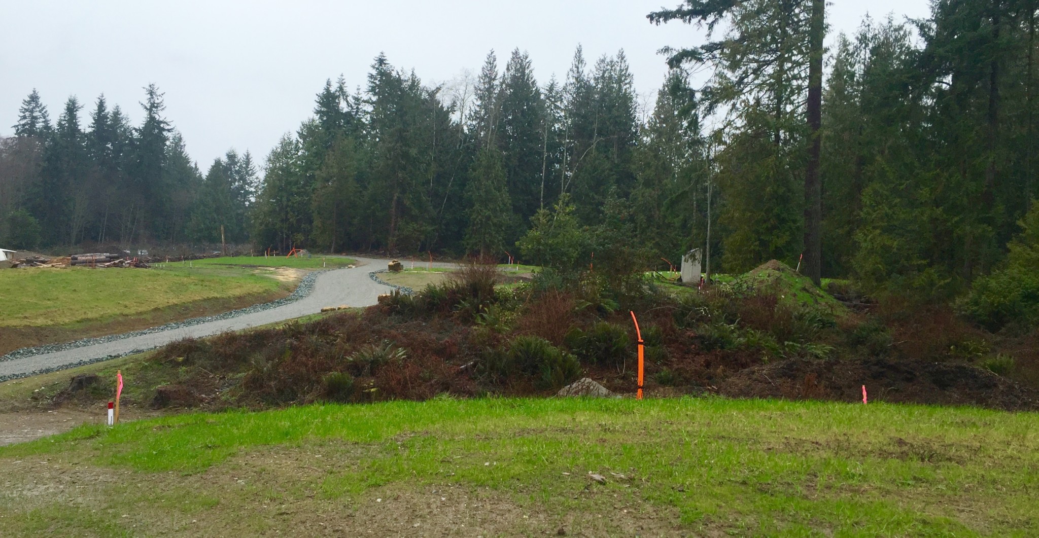 Scenic view of a forested area with a winding road and construction markers.