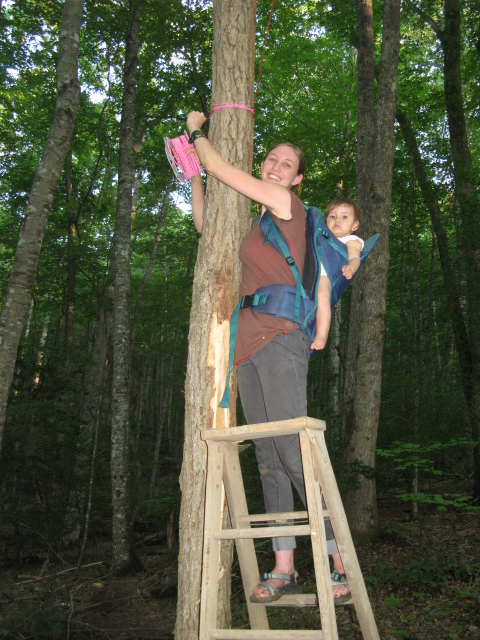 Woman and child in a forest, woman climbing a tree with a ladder.