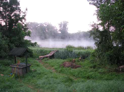 Serene natural landscape with a misty river, lush greenery, and a wooden footbridge.