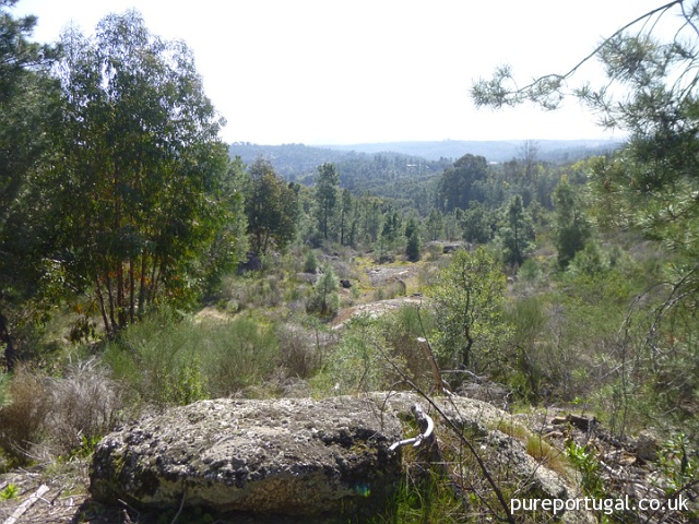 Scenic view of a natural landscape with trees and rocky terrain.