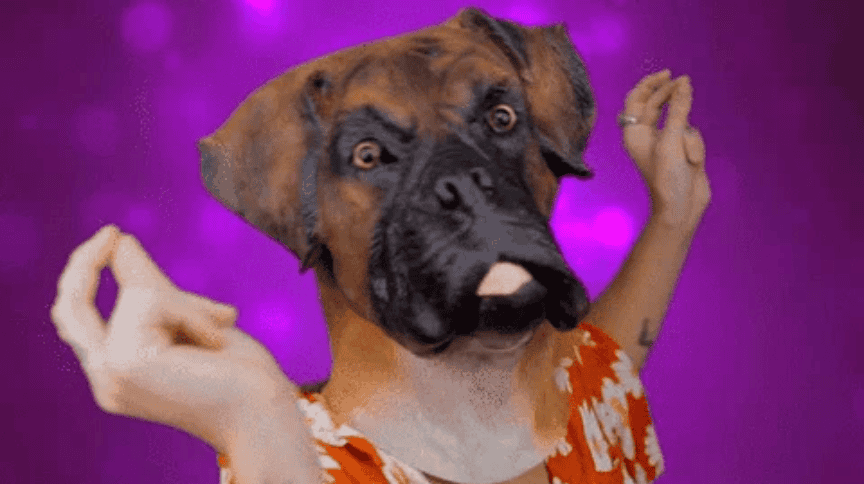 Person with a dog mask and hands in a playful pose against a purple background.