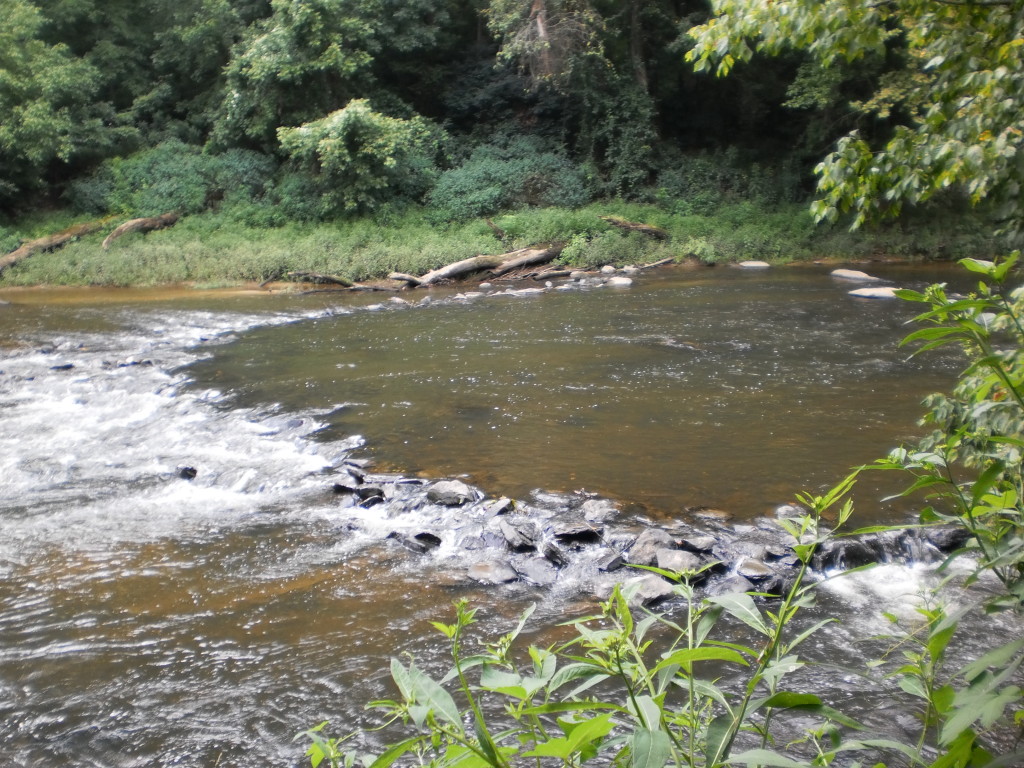 Scenic view of a river flowing through a lush green forest in an ecovillage setting.