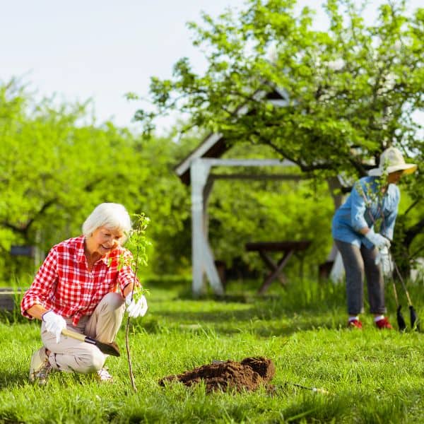 Elderly women planting a tree in a community garden with lush greenery.