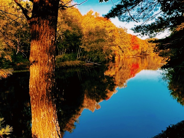 Scenic view of a river surrounded by colorful autumn trees and clear blue sky.