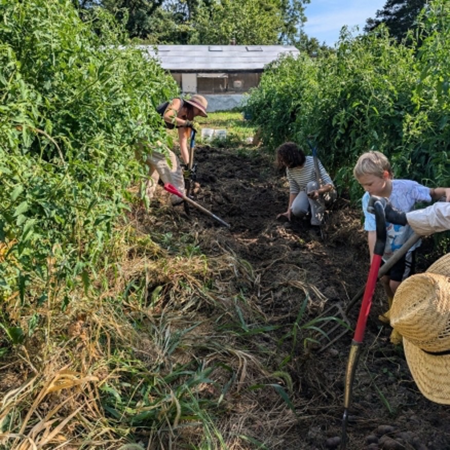 People working together on a community farm, planting or cultivating soil.