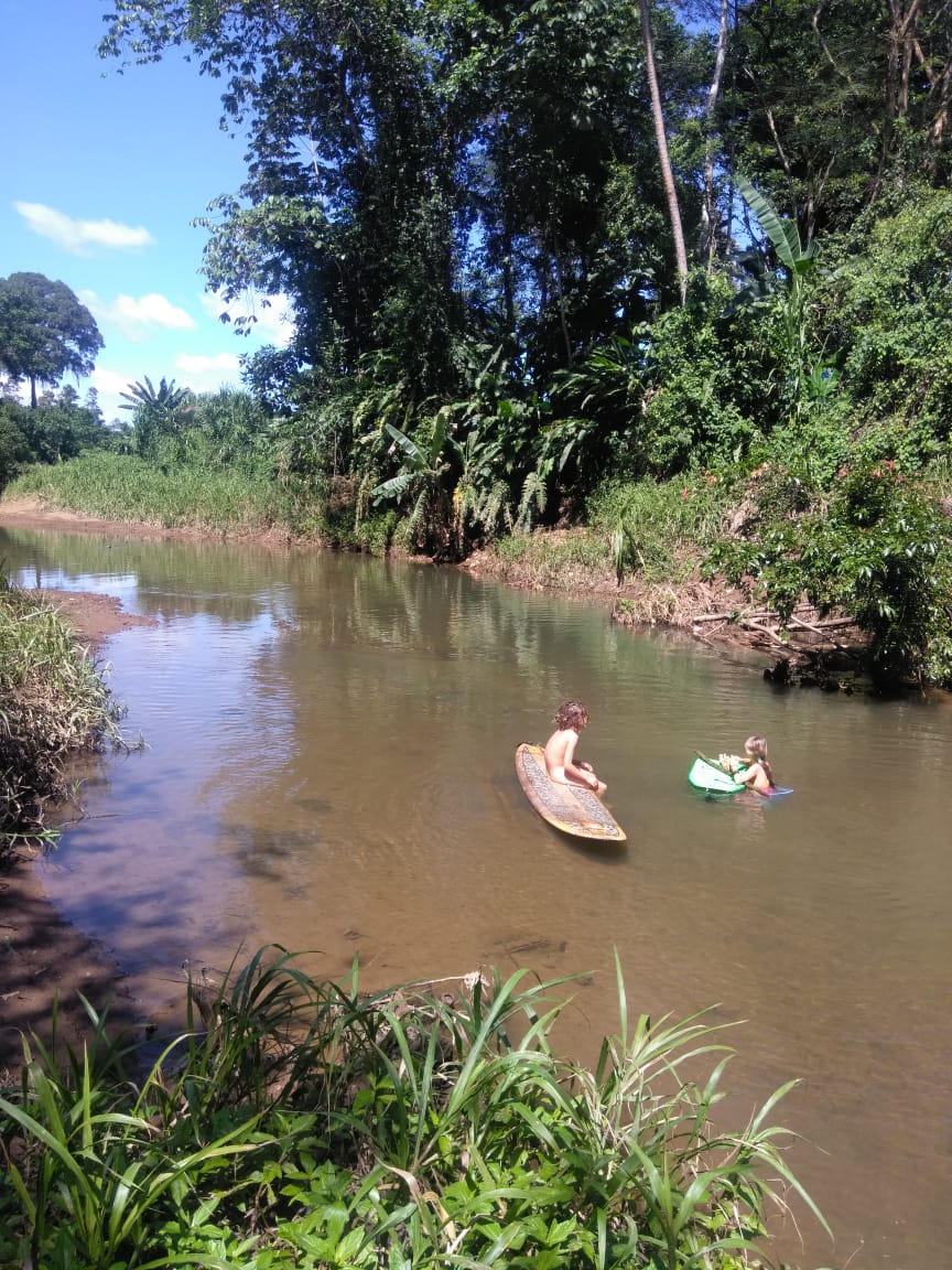 People relaxing on boats in a river surrounded by lush greenery and trees.