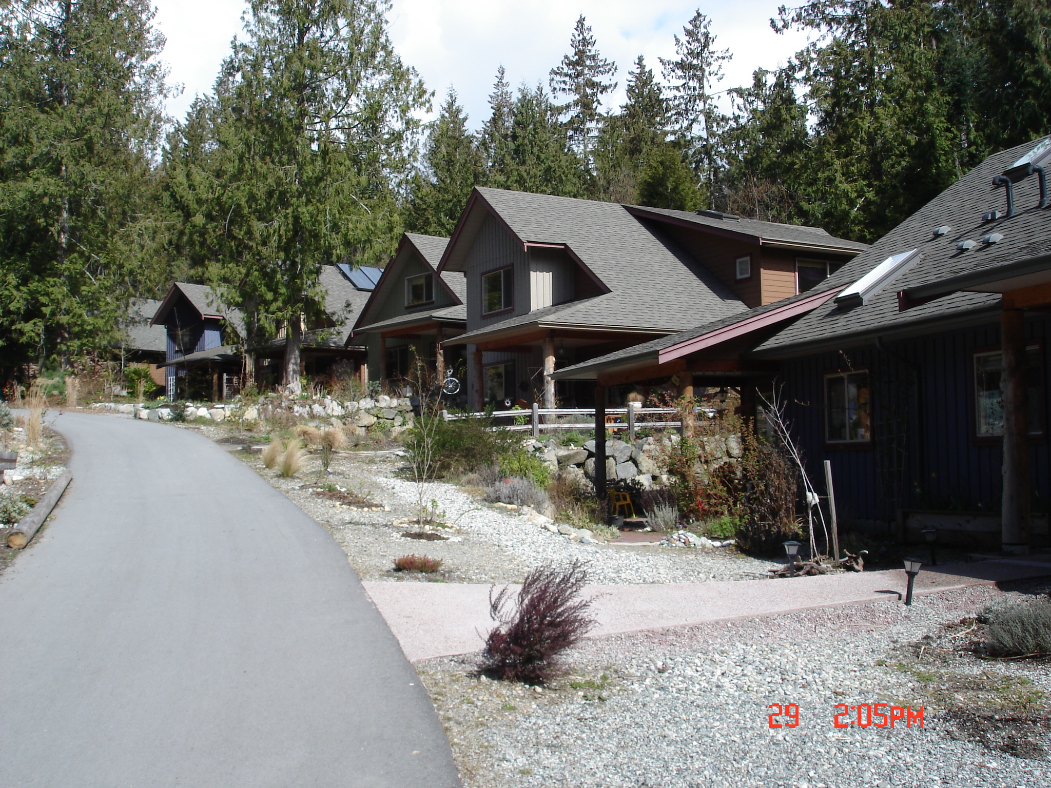 Cozy community homes in a forested setting at Roberts Creek Cohousing.