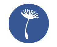 White dandelion seed head icon on blue background.