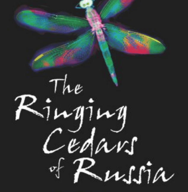 Colorful dragonfly artwork representing nature and community themes.