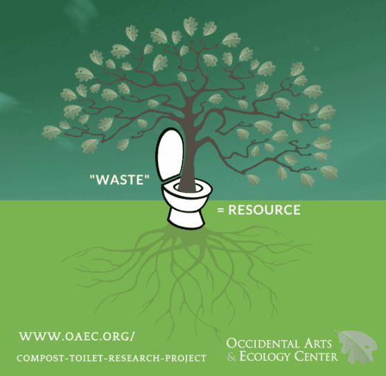 Tree growing from a composting toilet symbolizing waste as a resource.